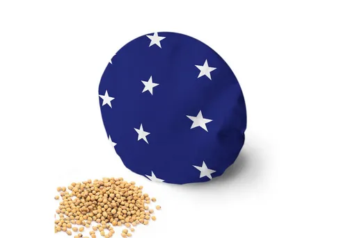 Amilian Kirschkernkissen Mikrowelle - Körnerkissen Nacken Schulter - rund ca. 16 cm, Wärmekissen, Kältekissen, Körnerkissen für die Mikrowelle, Nacken, Schulter, Bein und Bauch.