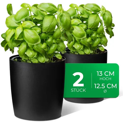 Novaliv Kräutertopf 2x Kräutertöpfe