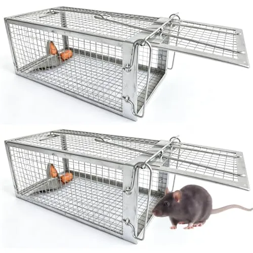 Rattenfalle Lebend, Mausefalle Lebendfalle 2er Set XL Groß Tierfalle Wiederverwendbare Ratte Lebendfalle Rattenfalle Käfig für Innen & Aussen, 100% Effektiv & Verletzungsfrei - 31 x 17 x 13.5cm