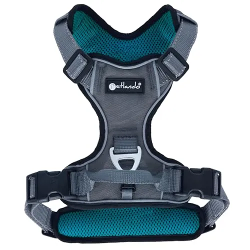 Petlando Mesh Outdoor-Hundebrustgeschirr Petrol/Anthrazit M