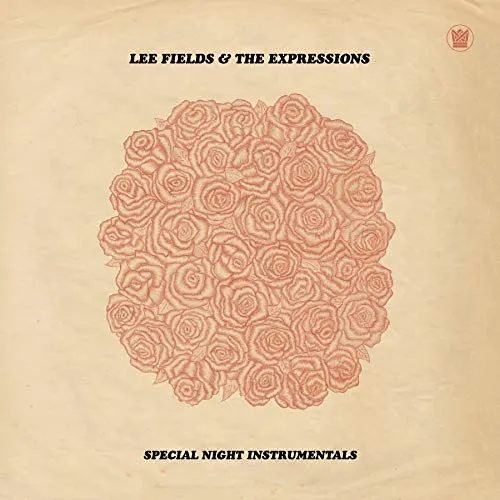 Special Night (Instrumentals) [Vinyl LP]