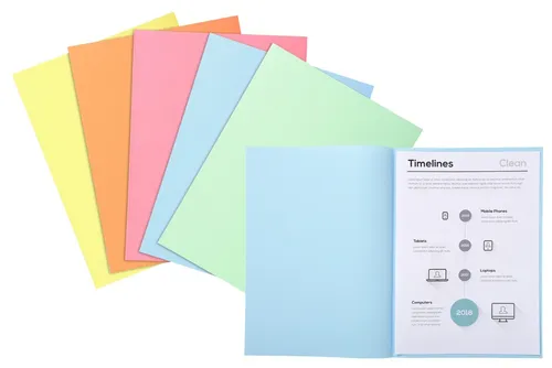 Exacompta Super Ordnungsmappe DIN A4 Grün - 250 Stück, ideal für die Organisation von bis zu 100 Blatt pro Mappe