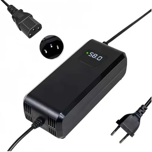 V 4 A Blei-Säure-Batterieladegerät für 48 V mit LED-Anzeige