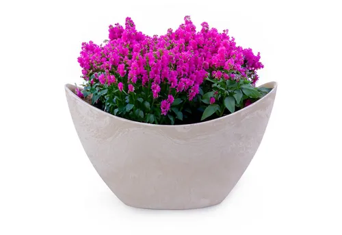 matches21 HOME & HOBBY Blumentopf Hohe Pflanzschale oval Vintage sand-beige 20 x 12 cm wetterfest (1 St), Schiffchen Deko-Schale als Tischdeko Blumen-Schale Outdoor Garten-Deko