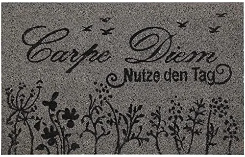 Bestlivings Fußmatte Kokos Schuhabtreter 40x60cm in grau (Carpe Diem Bunt), Fußabtreter Schmutzfangmatte Türmatte Bodenmatte Läufer Teppich Türvorleger Abtreter