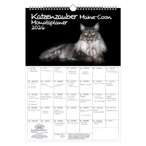 Katzenzauber Maine-Coon Planer DIN A3 Kalender für 2026 Katzen und Katzenbabys - Seelenzauber