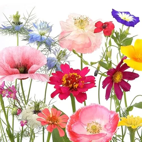 Papierservietten Weiß von Paper+Design