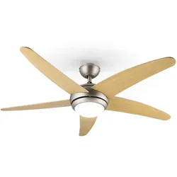 Haushaltsgeräte Braun von Klarstein