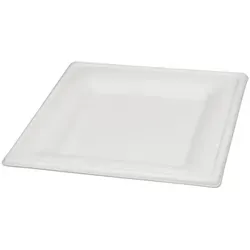 wisefood Einwegteller Bagasse Teller von wisefood