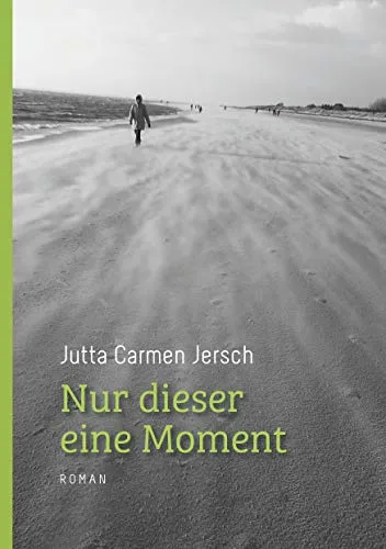 Nur dieser eine Moment: Roman