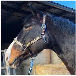 Pferdelinis Halfter Halfter für Pferde stylischer Leopard Look Shetty, Pony, Cob, Warmblut, verstellbar an Kinn- und Genickstück Pony