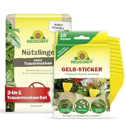 Neudorff Trauermücken-Set mit Nematoden & Gelbstickern - Effektive Trauermückenbekämpfung mit 5 Mio. SF-Nematoden und Gelbstickern. Natürlich und geruchlos, für eine sichere Anwendung im Garten und Zuhause.