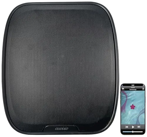 auvisio Bluetoothlautsprecher: Aktiver Stereo-Wandlautsprecher mit Akku, FM-Radio, BT 5.3, schwarz (Boxen Lautsprecher, Bluetooth, Lautsprecher mit USB, Bluetooth)