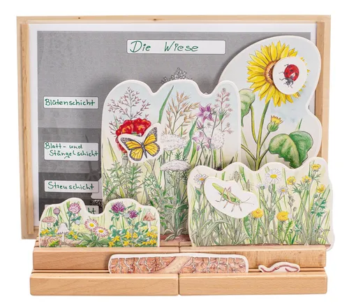 Betzold Stockwerke der Wiese – Lernspiel für den Unterricht - Lernspiel-Set mit Holzsteckleisten und Wiesenschichten, ideal zur Veranschaulichung von Lebensräumen. Inklusive Kopiervorlagen zur Vertiefung des Wissens. Fördert spielerisch die Koordination und das Lernen!