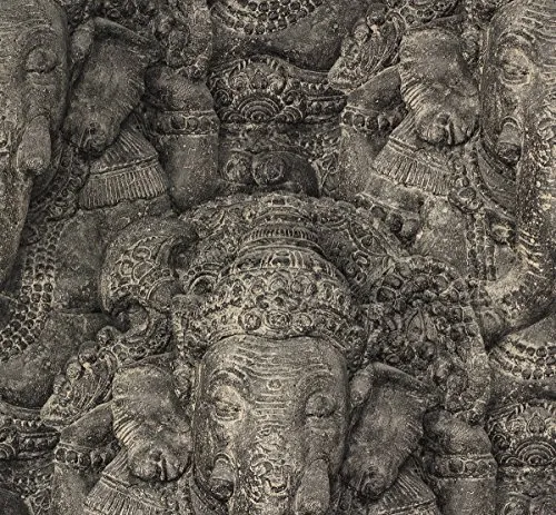 Rasch Tapeten Schwarz von Rasch