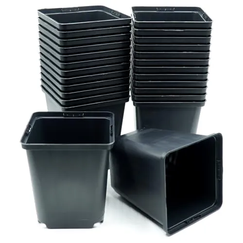 samenfritze 25 x Anzuchttöpfe 11x11x12 cm