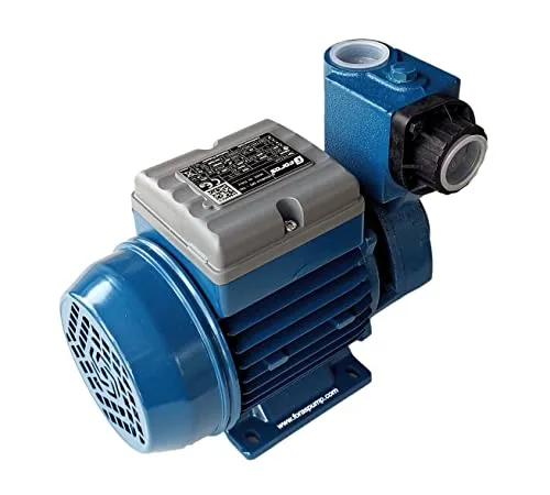 FORAS PE100A Selbstansaugende Peripheralpumpe (0,74 kW, 1PS) | Max. 65m Förderhöhe & 50 L/min | 230V Hauswasserwerk-Pumpe | 100% Made in Italy by Pentax Industries