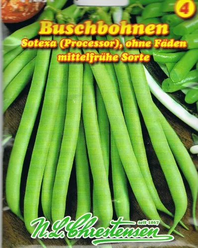 Buschbohne Sotexa