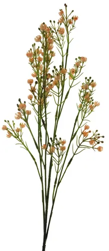 artplants Dekoblume Schleierkraut LINFENG, pfirsich, 70 cm