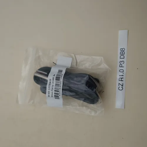 Kaiser Electronics Sensor / Fühler PT1000 2m