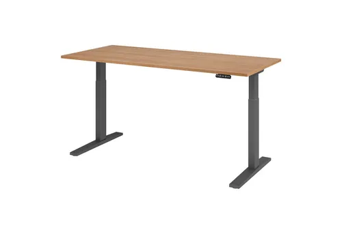Bümö Elektrischer Schreibtisch XMKA 180x80 cm Nussbaum - Höhenverstellbarer Schreibtisch mit 70-120 cm Arbeitshöhe. Ideal für flexibles Arbeiten im Homeoffice oder Büro. Robuste Bauweise und einfache Bedienung durch Memoryfunktion.