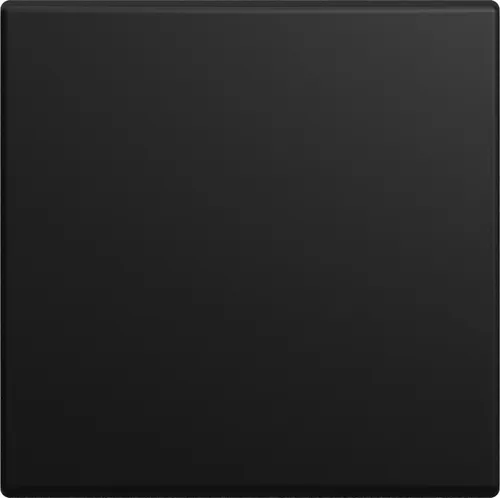 Lichtschalter Schwarz von Busch-Jaeger Wippe Installationsschalterprogramme