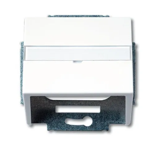 Busch-Jaeger 1758-84 Zentralscheibe für Kommunikations-Steckverbinder, mit Tragring, mit Beschriftungsfeld, studioweiß glänzend, Plattform 63