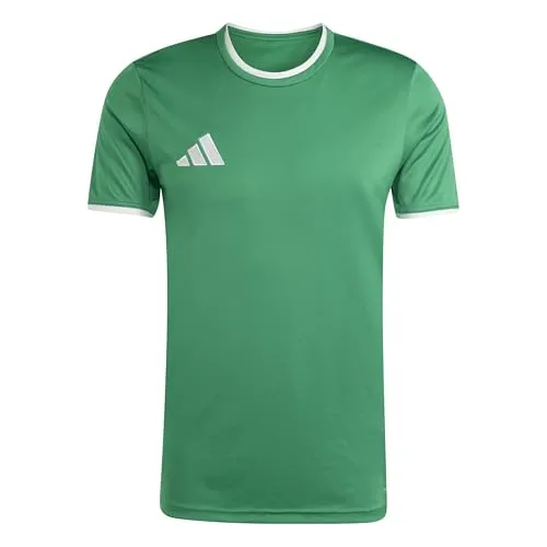 adidas Herren Entrada26 Jersey Shirt, Team Green/White, S