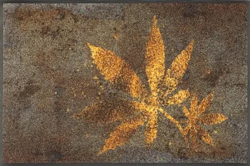 wash+dry by Kleen-Tex Fußmatte Herb Blend - Rechteckig und Rutschhemmend - Bunte Fußmatte aus 100% Polyamid, rutschhemmend und ideal für den Innenbereich, Maße: 50x75 cm, Höhe: 7 mm.