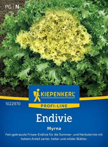 Pflanzen für Dich Gemüsesamen Endiviensamen Myrna Cichorium endivia 100 Pflanzen