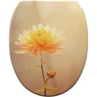 Toilettensitze von Sanilo