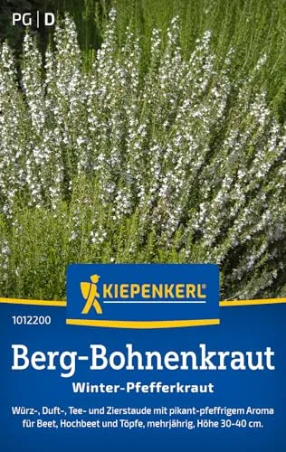 Kiepenkerl Berg-Bohnenkrautsamen Winter-Pfefferkraut 1012200, Kräutersaat | Inhalt für 80 Pflanzen, Samen Kräuter, aromatisch, mehrjährig