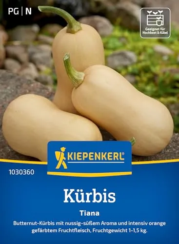 Produktbild Kiepenkerl Kürbissamen Tiana 1030360