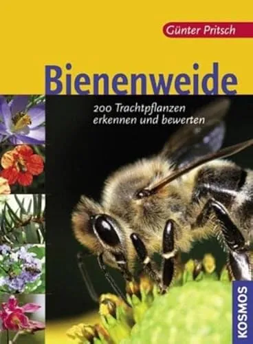 Bienenweide: 200 Trachtpflanzen erkennen und bewerten