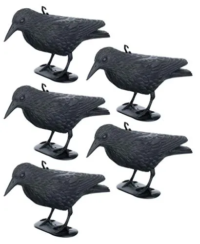 Brandsseller Schwarzer Rabe aus Kunststoff 36 x 20 cm Taubenabwehr Vogelschreck gegen kleine Vögel und Tauben Tierfreundliche Abschreckung - 5 Stück