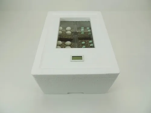 Campo24 ST3 Reptilien Inkubator - Digitaler Brutkasten für Terrarien - Brutapparate für Terrarien, Komplettset mit digitaler Anzeige für präzise Temperatur- und Feuchtigkeitskontrolle, ideal für erfolgreiche Reptilienaufzucht.