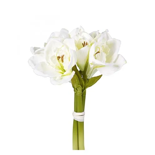 Amaryllis-Bund 3Stiele 32cm cr