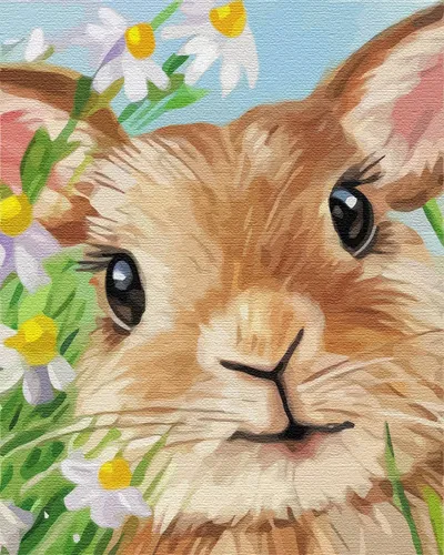 Malen nach Zahlen auf Keilrahmen Kaninchen 50x40cm Bild Ausmalen nach Zahlen