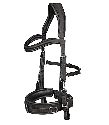 WALDHAUSEN Lederkappzaum Anatomic, schwarz, WB in schwarz von Waldhausen