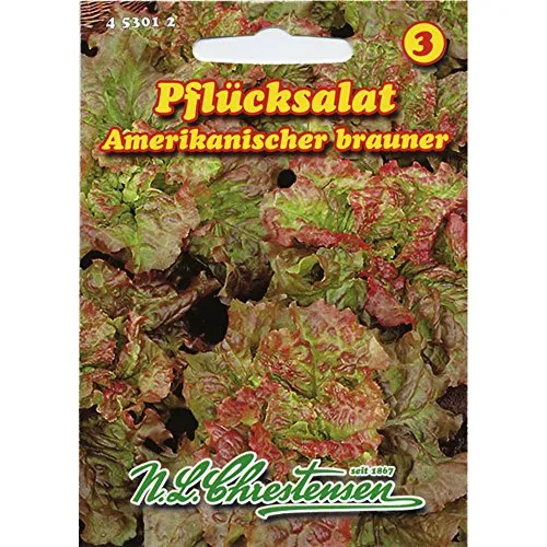 Pflücksalat Amerikanischer Brauner (Portion)