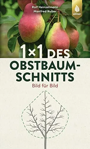 des Obstbaumschnitts: Bild für Bild 1 x 1