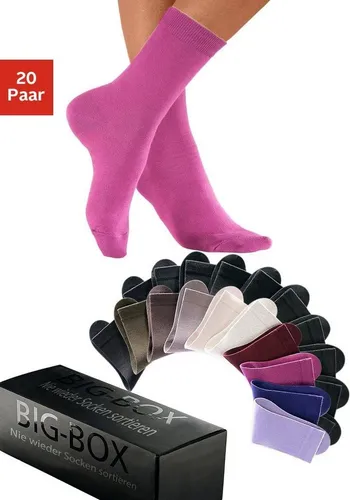 Go in Basicsocken (Box, 20-Paar) in der großen Big-Box