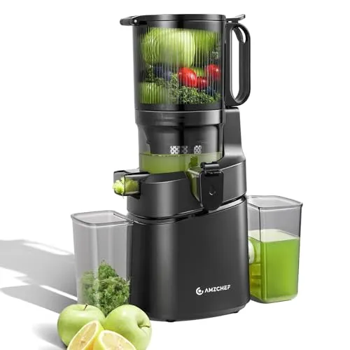 AMZCHEF 250W Automatischer Slow Juicer von Amzchef