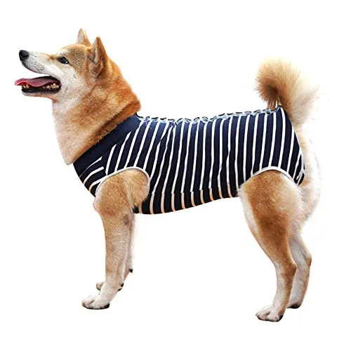 Dotoner Krankenhausanzug für Hunde und Katzen, Wundschutz für Welpen, medizinische Kleidung, nach Operationen, Ersatzkragen und Kegel (XL, blau gestreift)