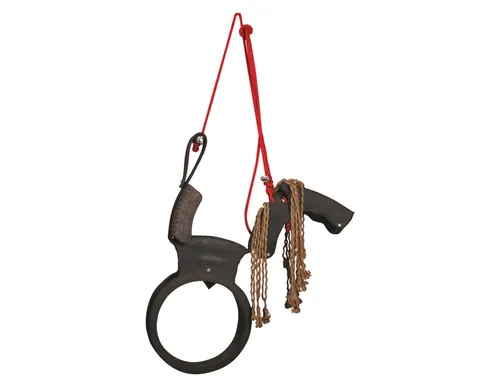 Pferdeschaukel mit Aufhängung Esschert KG10