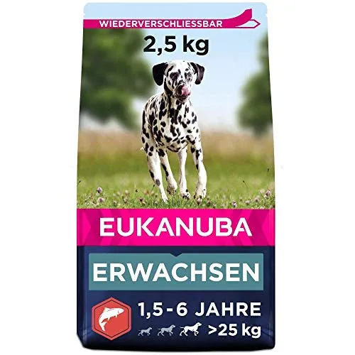 Eukanuba Hundefutter mit Lachs & Gerste für große Rassen - Trockenfutter für ausgewachsene Hunde, 2,5 kg