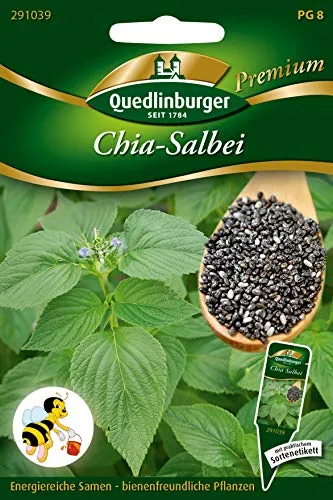Quedlinburger 291039 Salbei Chia (Salbeisamen) von Quedlinburger