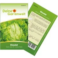 Deine Gartenwelt Eissalat Great Lakes 118 Samen