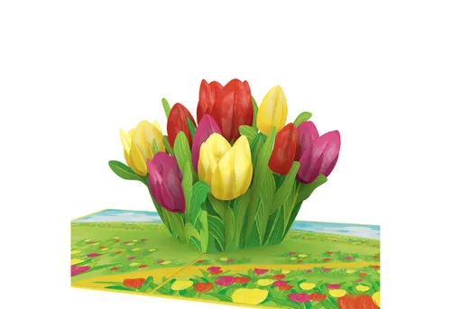 papercrush Geburtstagskarte Bunte Tulpenwiese Pop-Up Karte