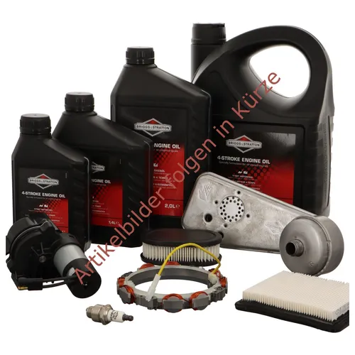 Briggs u. Stratton OELSCHLEUDER | 796650 | 024847700572